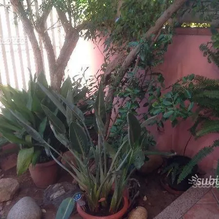 Relax Apartamento Sassari
